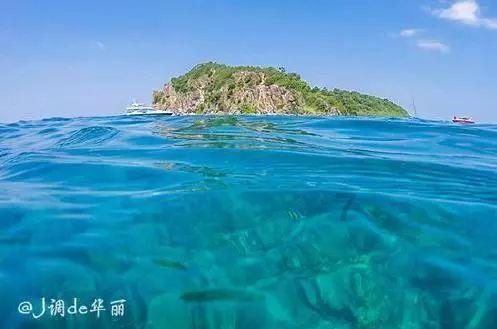 酒泉新观:超万面定日镜“绽放”戈壁小镇